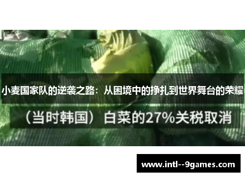 小麦国家队的逆袭之路：从困境中的挣扎到世界舞台的荣耀